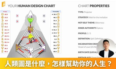 人類圖解說|人類圖是什麼？萬人分析師親自解釋你為什麼你需要。